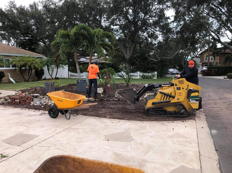 St Petersburg Tree Removal