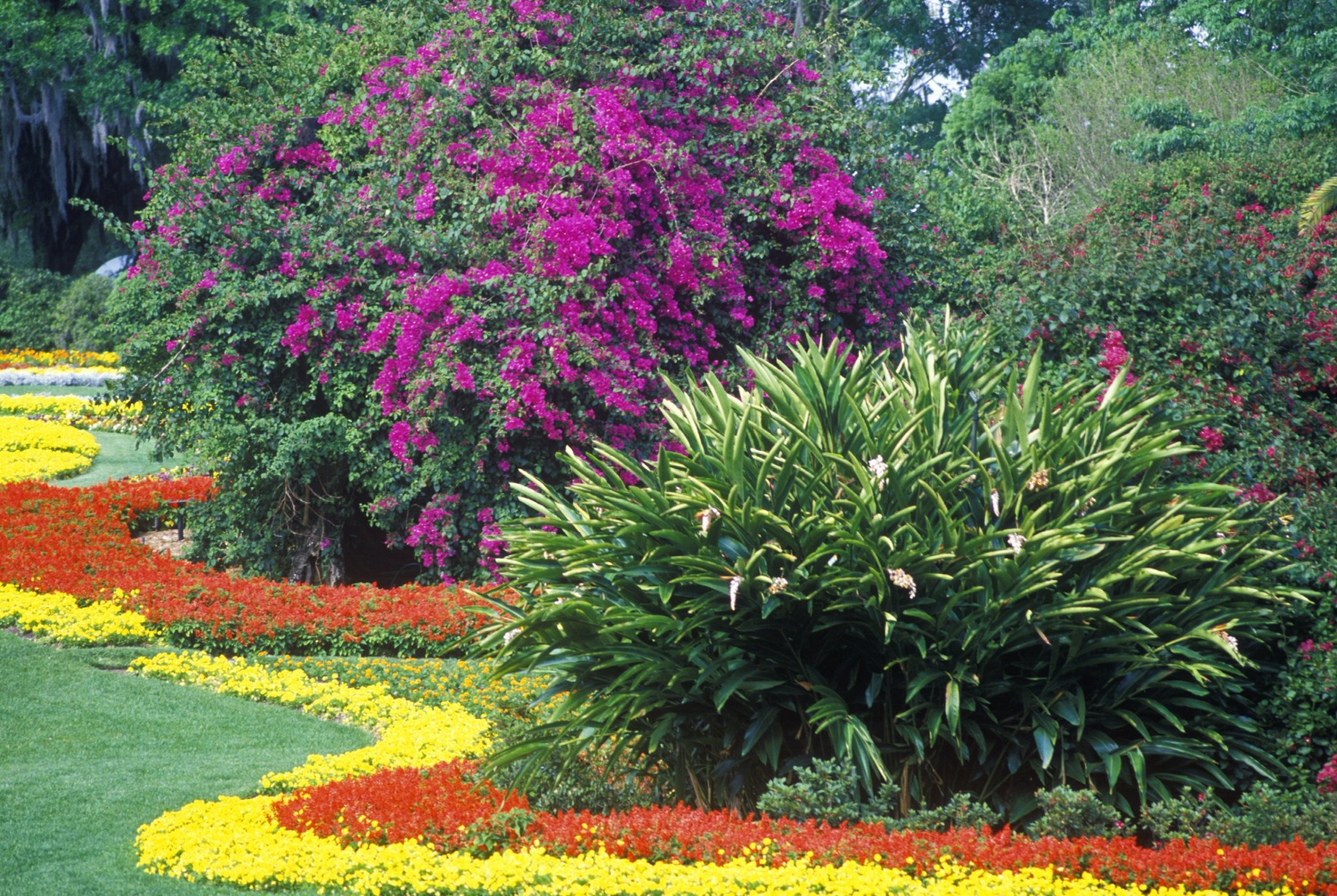 ST. PETERSBURG LANDSCAPING SERVICES